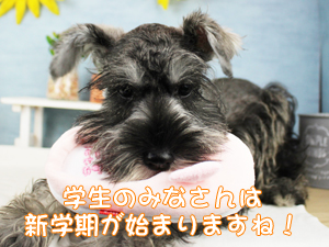 あっという間に９月です！